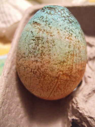 textured egg