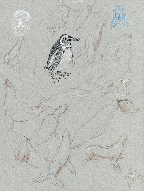 Fur seals and a penguin