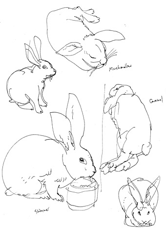 Cute Cartoon Pictures Of Bunnies. The nursery also has unnies